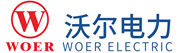 Shenzhen Woer Electric Technology Co., Ltd. (Woer Electric)